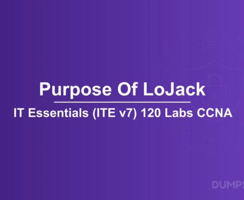 lolajack-uk-lolajack.jpg
